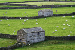 GUNNERSIDE