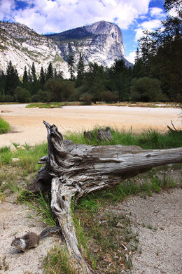 MOUNT WATKINS AND FRIEND