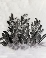 You-Jin Lou, Winter Bulb
