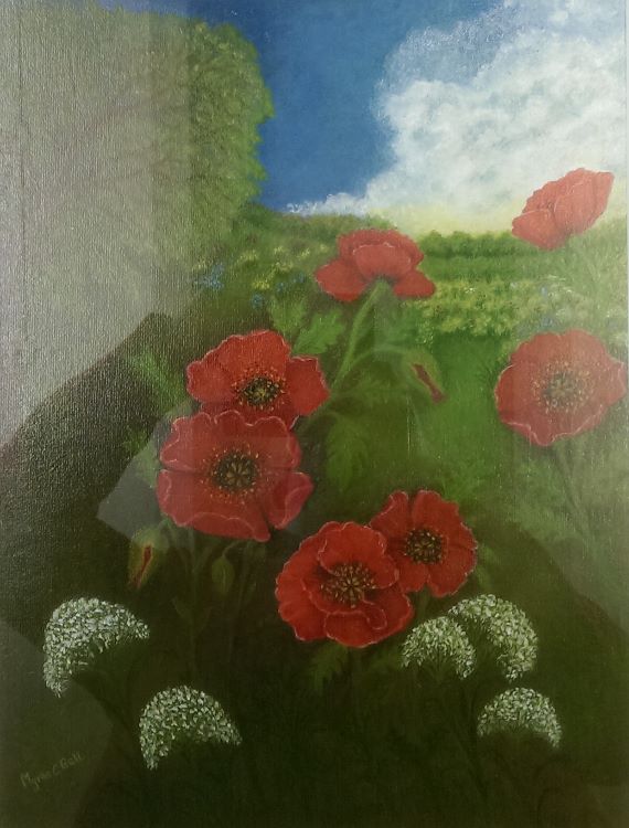 Wild Flowers at Dawn