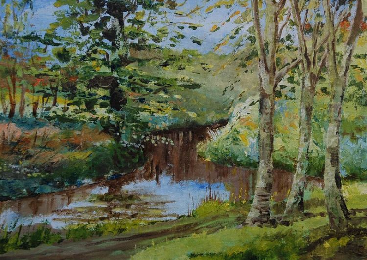 The Browney Calm Reflection