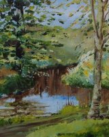 The Browney Calm Reflection