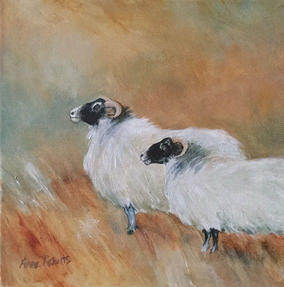 26 Blackfaced Sheep -acrylic by Anne Roberts