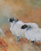 Anne Roberts