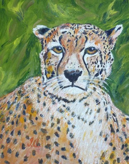 Leopard by Irene Ayre