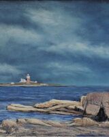 Coquet Island by John Fulthorpe