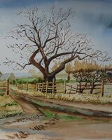Willie Drea -Winter Oak at Biggen Farm