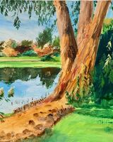 Willie Drea ' Glenwhan Gardens2 '