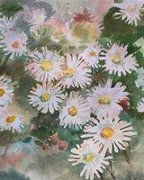 Willie Drea ' Michaelmas Daisies '