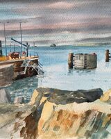 Willie Drea ' Thorness Haven '