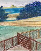 Allan White ' Lindisfarne from Budle Bay- '