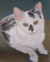 Sheila Lewis ' Lady Dean '