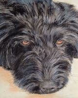 Sheila Lewis ' Bessie '