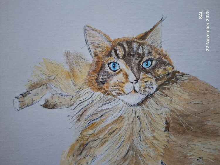 Sheila Lewis ' Amber ;