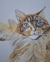 Sheila Lewis ' Amber ;