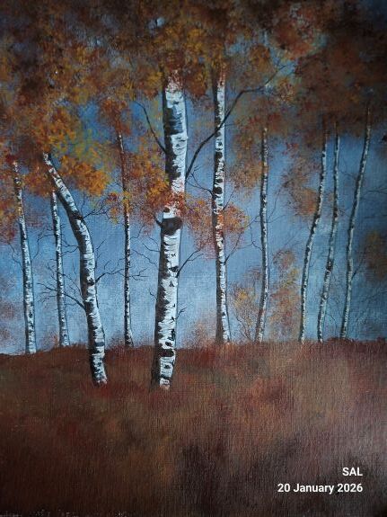 Sheila Lewis ' Birch Wood '