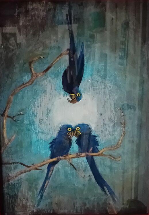 Michael Austin ' Hyacinth Macaw -Three's a Crowd '
