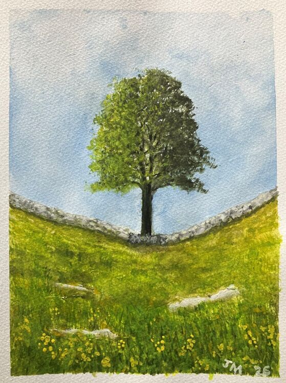 John McGee ' Left Handed Tree '