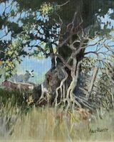 Anne Roberts ' Finding the Shade '