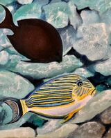 Jenny Dyson ' Undersea Life '