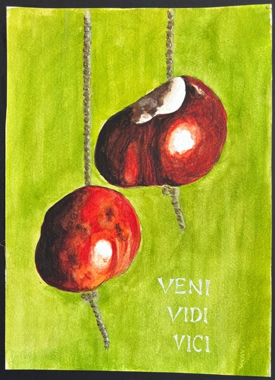 John McGee ' Veni Vedi Veci '