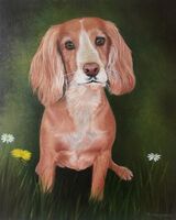 Jeff Stamp ' Puppy Dog '