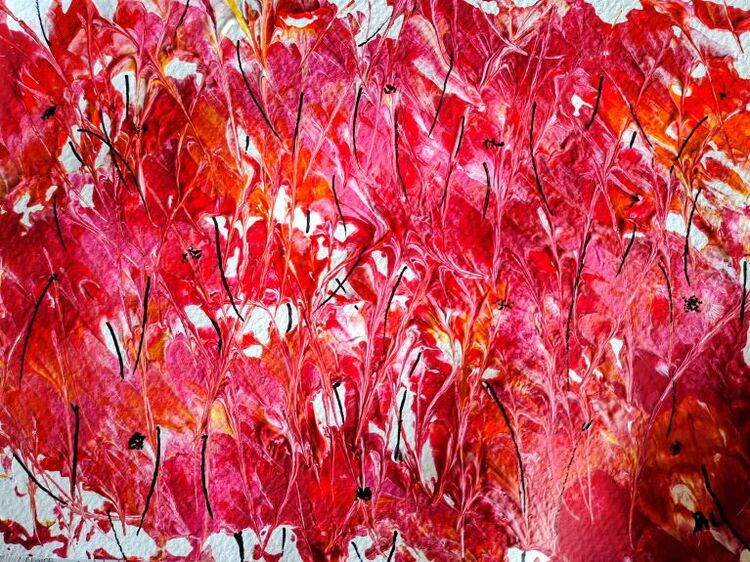 Sheila Lewis ' Poppies '