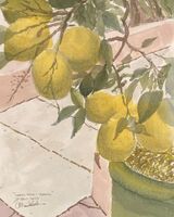 Allan White ' Lemon Tree -Verona '