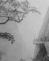 Doug Stevenson ' Huangshan Tree '