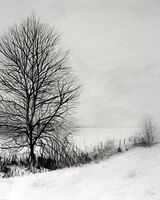 Doug Stevenson ' Winter on the Fell '