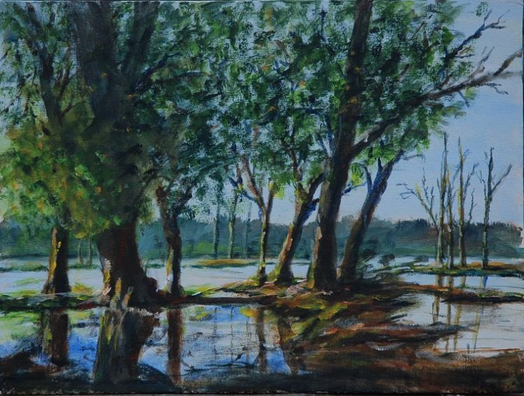 Flooded Trees by Audrey Drynan. -acrylic