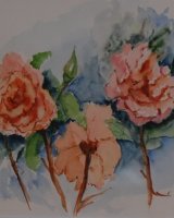 Orange Roses by Audrey Drynan,