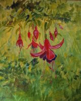 Fuchsia