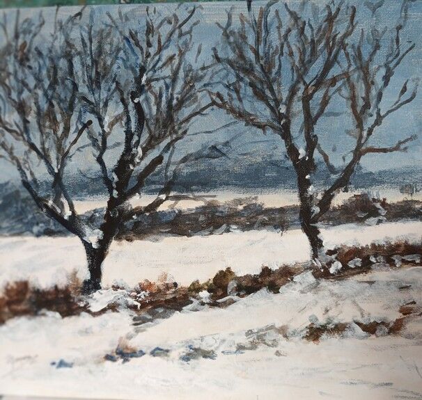 22 Audrey Drynan ' Snowy Outlook '