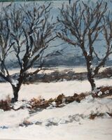 22 Audrey Drynan ' Snowy Outlook '