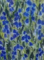 Bluebells