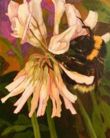 Clare Lovatt