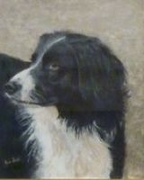 Collie by Joe Beard