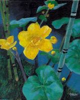 Harry Bell, Marsh Marigolds