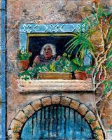 Harry Bell, Woman wth Window Boxes