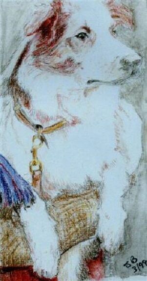 Joe Beard, Dog, in watercolour