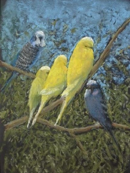 John Fulthorpe, -Budgies-