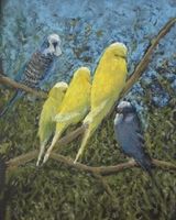 John Fulthorpe, -Budgies-