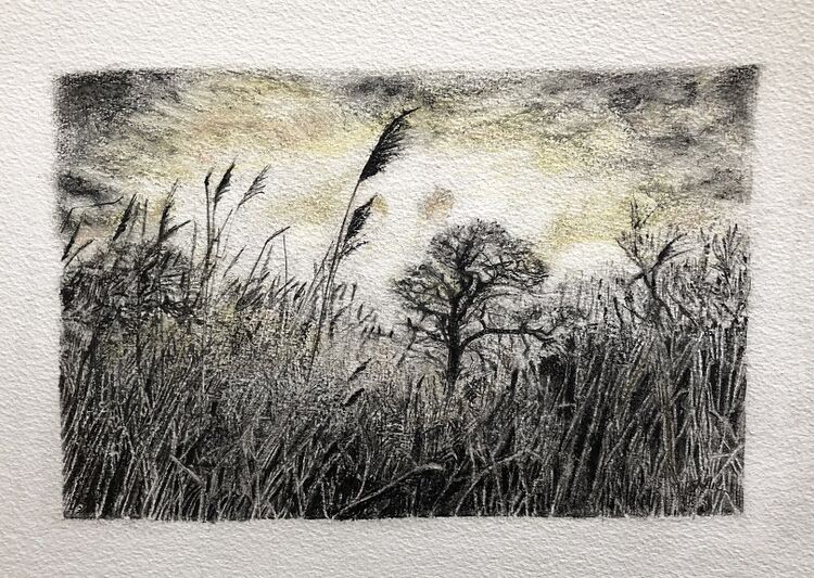 Julie Manning, Grasses