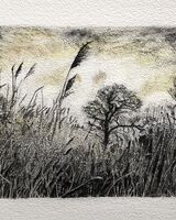 Julie Manning, Grasses