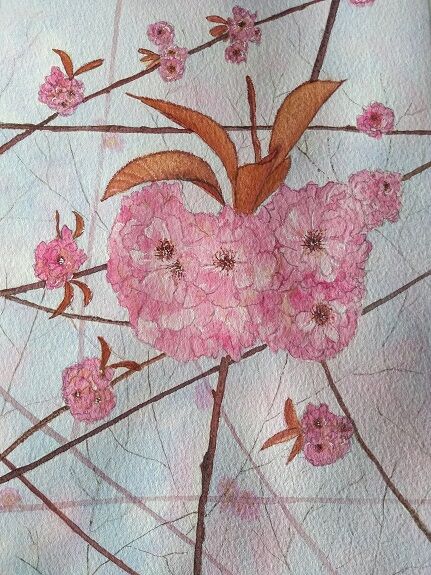 Sheila Lewis, watercolour- untitled