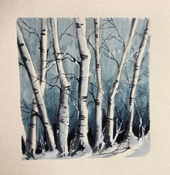 Tim Griffiths, Birches -felt pen and watercolour.