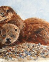 Audrey Drynan "Otters on Dry Land".