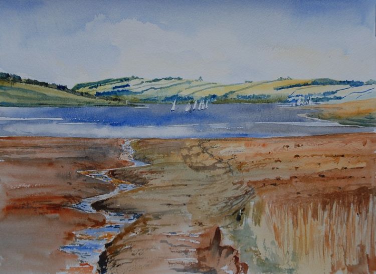 Derwent Reservoir from Millshield