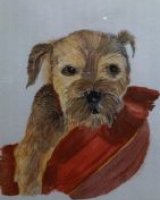 Dog on Cushion